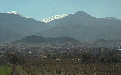 View of Philadelphia through vineyards