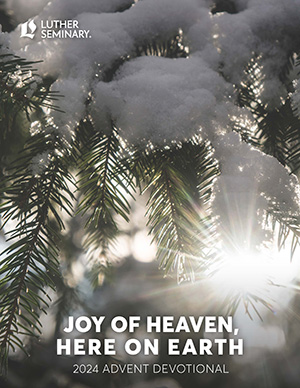 Snow-covered pine branches with sunlight shining through, and the Luther Seminary logo.

Luther Seminary.
JOY OF HEAVEN, HERE ON EARTH
2024 Advent Devotional.
