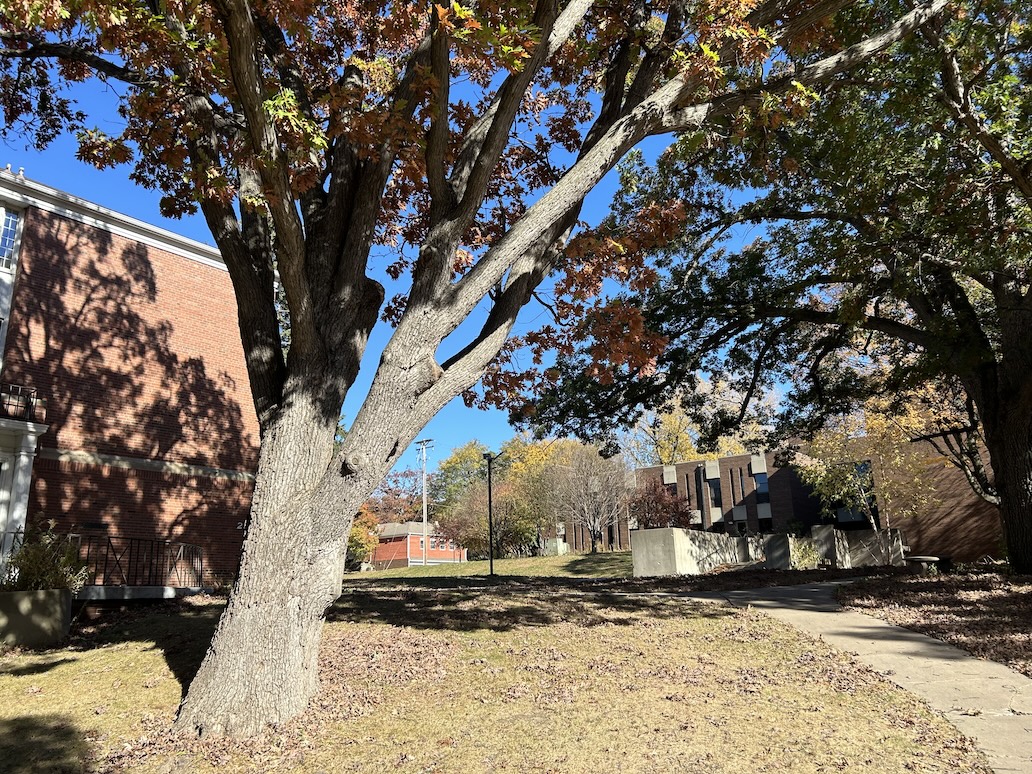 News Luther Seminary