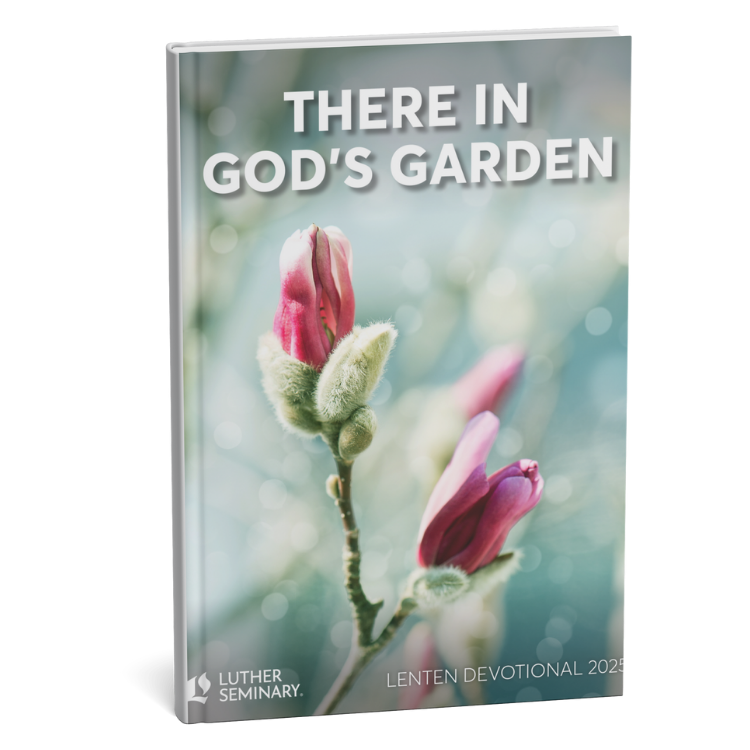 Lent Devotional Cover