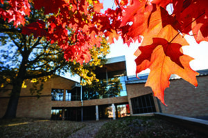 Luther Seminary in Autumn