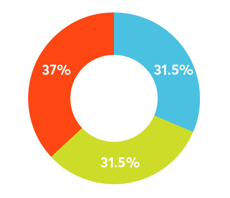 Donut chart with three sections - Sustaining Fund: 37%, Educate: 31.5%, and Innovate: 31.5%