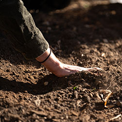 A hand pressing into soft soil under sunlight.