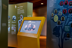 Museum exhibit with a yellow touch screen kiosk and informational panels.