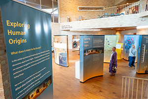 Indoor exhibition with informational panels titled "Exploring Human Origins."