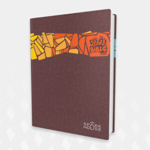 A brown hardcover "Spark Bible" with a colorful mosaic pattern in yellow, orange, and red across the top.